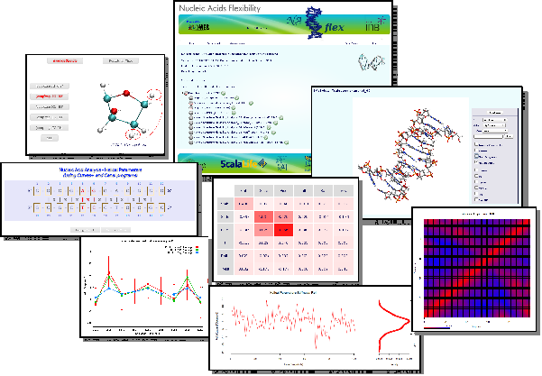 NAFlex Analysis Examples