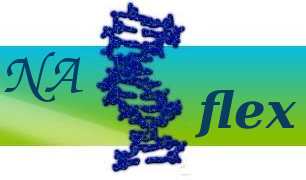 NAFlex: Nucleic Acids Flexibility