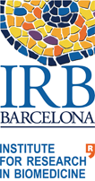 Institute for Research in Biomedicine