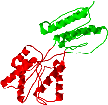 Hinge domains